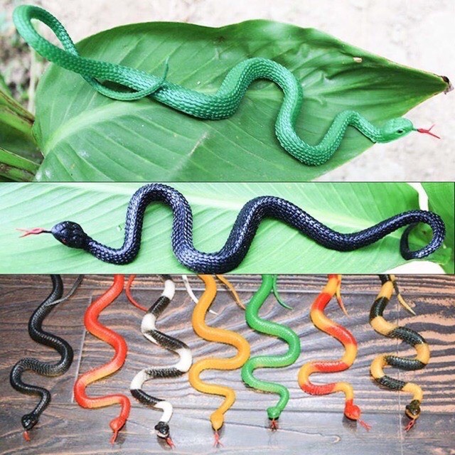 Đồ Chơi Rắn Nhựa Dẻo Loại Nhỏ Dài 40cm