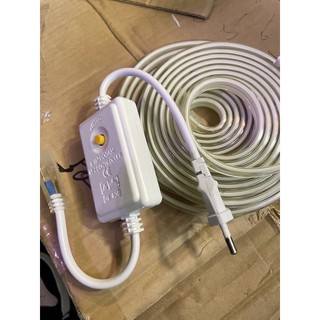 Bộ led nháy màu 220v 5m