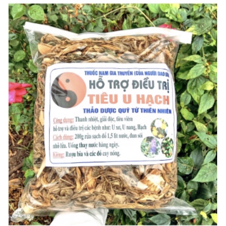 1Kg CÂY TIÊU U HẠCH , U XƠ, U NANG