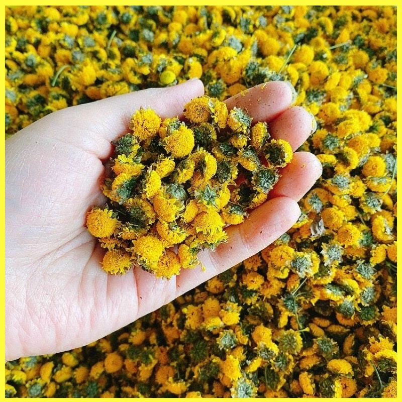 Trà Hoa Cúc Tiến Vua Loại Thượng Hạng Pha Kỷ Tử, Mật Ong Để Detox, Thải Độc, Thanh Nhiệt, Ngủ Ngon