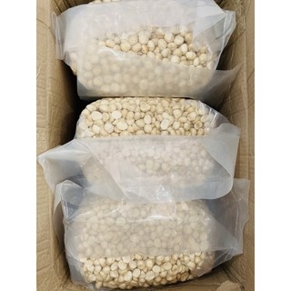 Hạt macca Đắc Lắk tách vỏ gói 250g