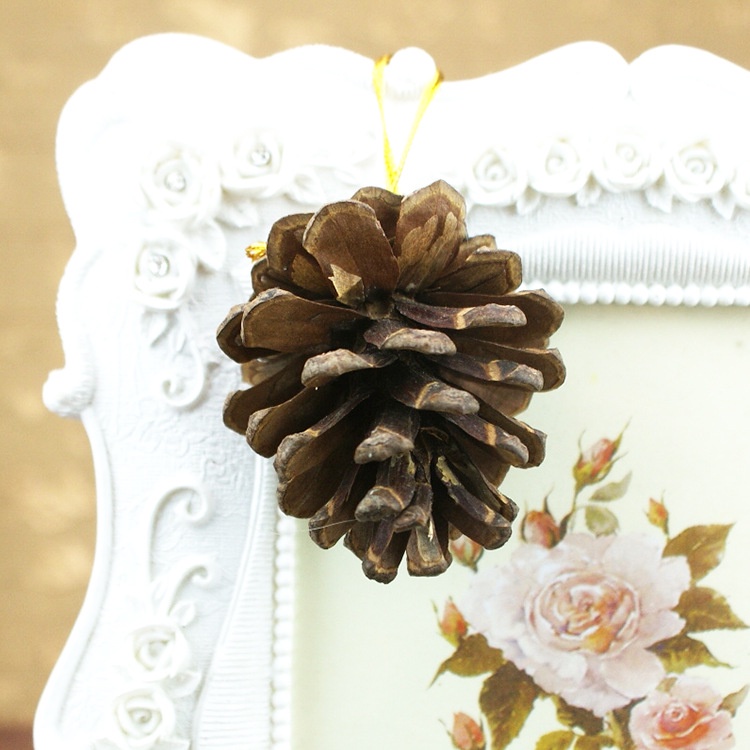 Túi 6 Quả Thông Khô