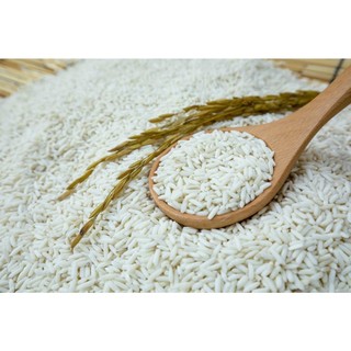 1kg gạo nếp thái lan hạt dài - siêu dẻo, thơm ngon, mềm_ nếp thái loại 1