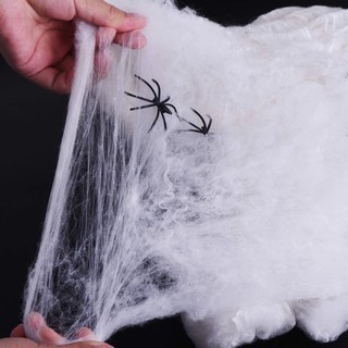 Mạng nhện kèm nhện trang trí halloween