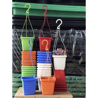 bán sỉ 50 chậu treo mini