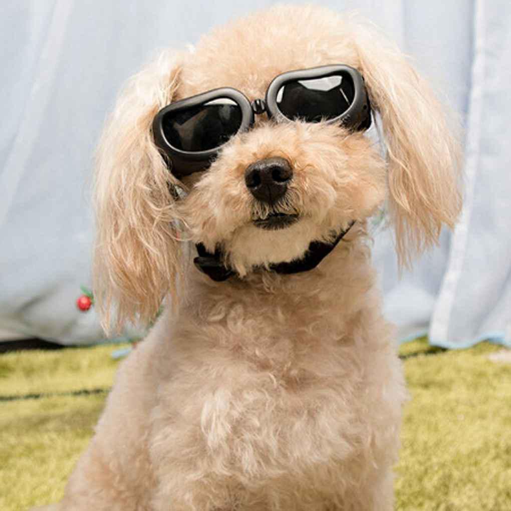 Kính Mát Chống Tia UV Thời Trang Cho Thú Cưng