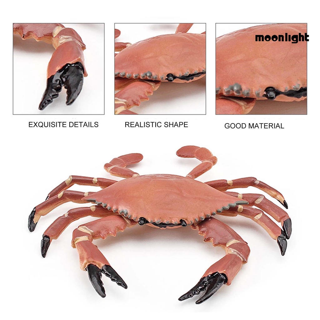 Đồ Chơi Mô Hình Con Cua Tạo Hình Phát Triển Trí Thông Minh Cho Trẻ Em