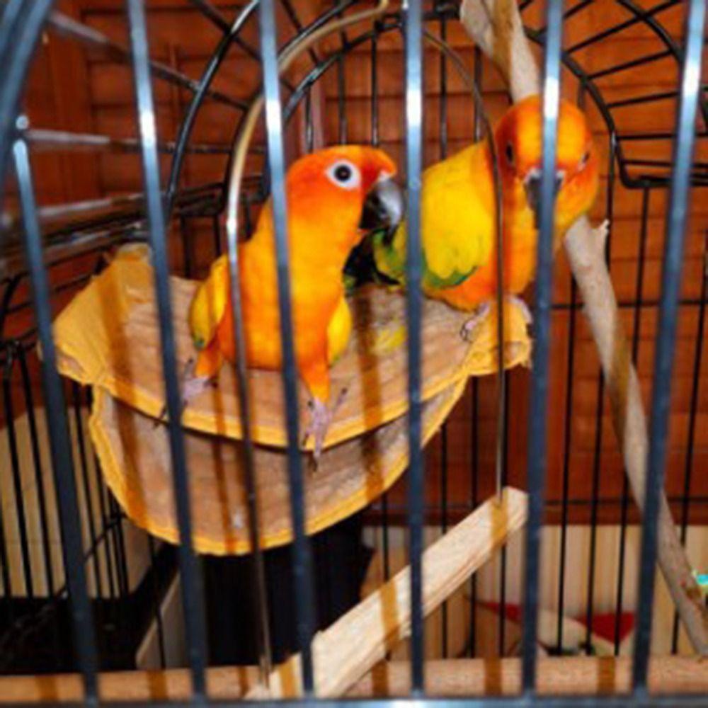 Lều Ngủ Cho Chuột Hamster / Chim Vẹt Tiện Dụng