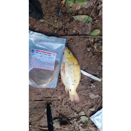 CÁM CÂU CÁ TỔNG HỢP 500G SIÊU NHẠY