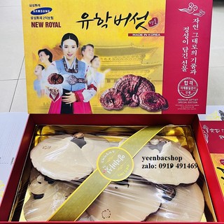 NẤM LINH CHI HÀN QUỐC HỘP QUÀ CÔ GÁI 1KG [ Rẻ vô địch ]