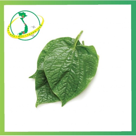 Lá lốt tươi 50g