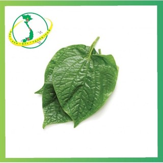 Lá lốt tươi 50g