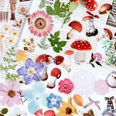 Túi 40 Nhãn Dán Trong Suốt Hình Hoa Cúc / Cỏ Ba Lá / Nấm Xinh Xắn