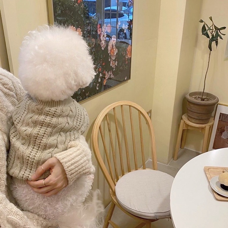 Áo Sweater Dệt Kim Nhỏ Teddy Bichon Pomeranian Schnauzer Yorkshire Cho Thú Cưng