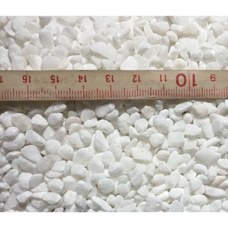 1kg sỏi trắng trang trí chậu cây, bể cá , sân vườn nhiều kích cỡ