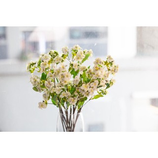 Hoa Păng Xê - Hoa Lụa Cao Cấp Decor Trang Trí