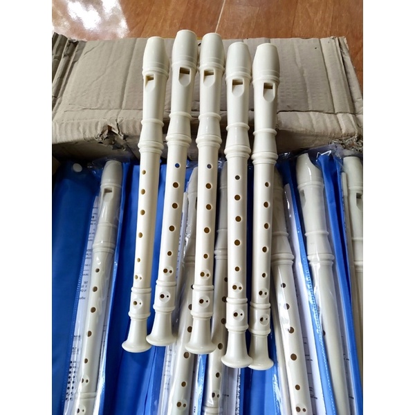 30 SÁO 8 LỖ MÀU TRẮNG TN