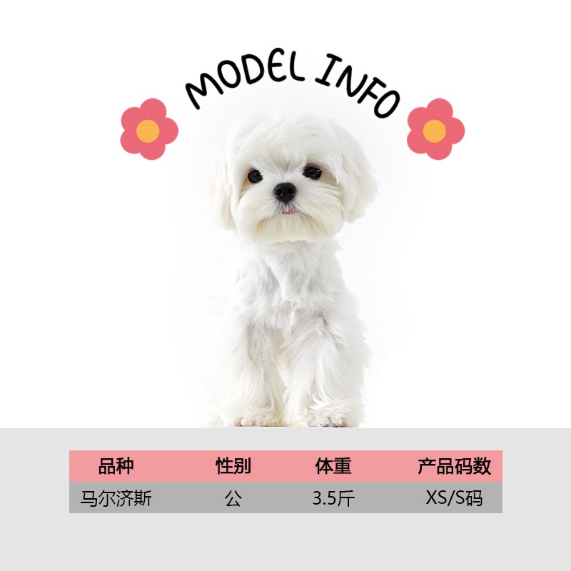 JENNY SHOP Cho Chó Nhỏ Đi Chơi Túi Mèo Cưng Túi Chó Nhỏ Di Động Một Vai Messenger Di Động Túi Takeaway