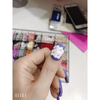 Charm hoa bột nail ( hoa mai chùm )