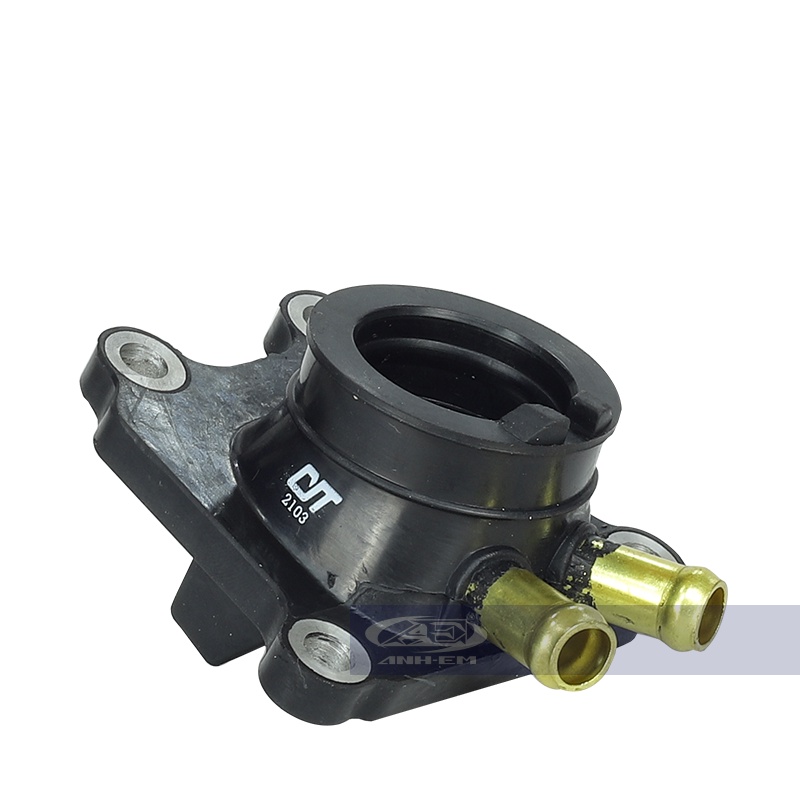 Co xĂngg N (RGV) CYT - RGV120-0839