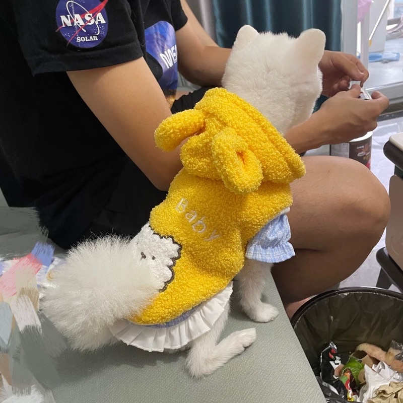 Áo gile lông cho chó mèo có mũ hình gấu
