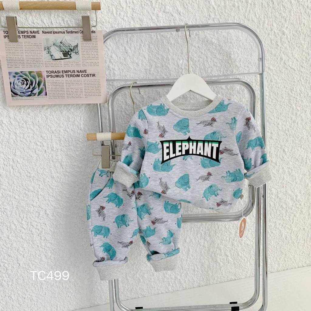 Sét bộ nỉ bé trai in hình