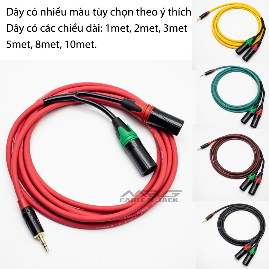 Dây Rắc 3.5 mm Ra 2 Đầu Canon Đực, dài 3met-2met-1met
