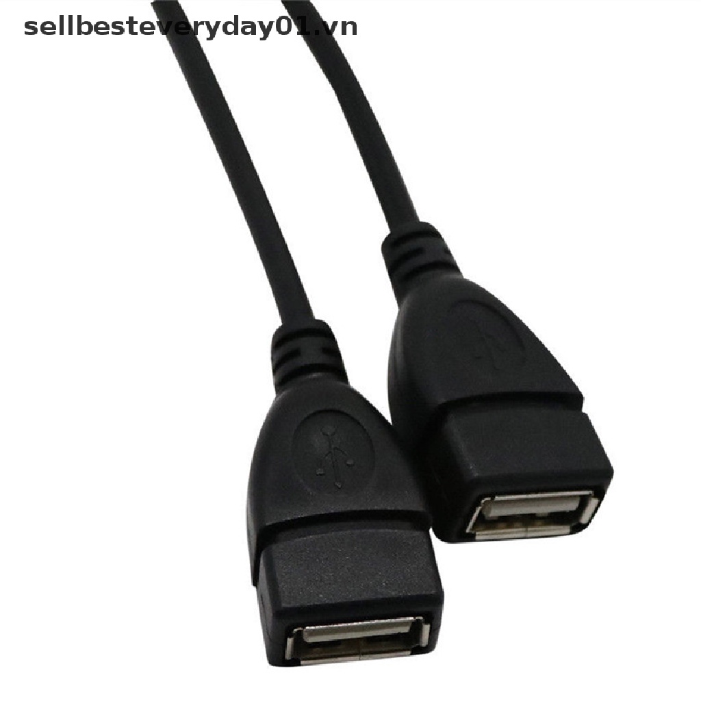 Dây Cáp Chia 2 Cổng USB 2.0 A Male Sang 2 Female Jack Y