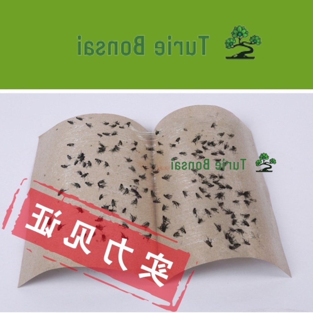 Tấm Keo Dính Ruồi Siêu Dính Hàng Nội địa