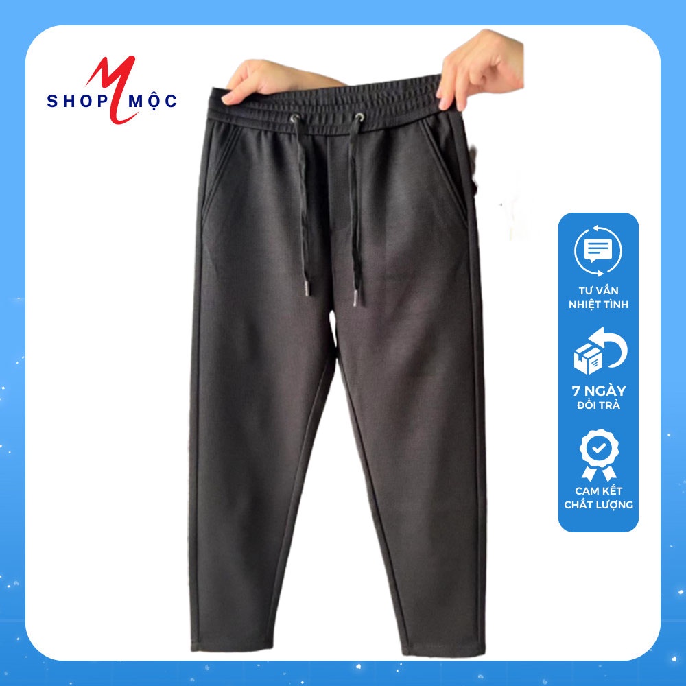 Quần Jogger Lá Dứa
