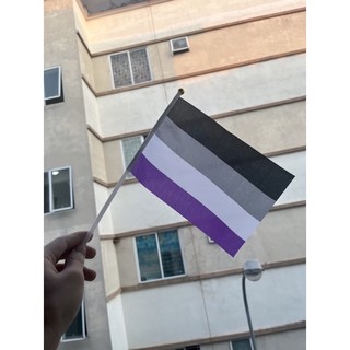Cờ vải cầm tay LGBT( đủ mẫu cờ)