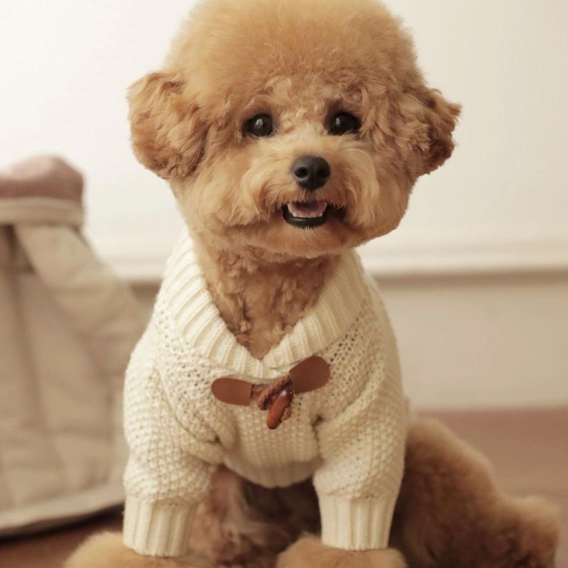 Áo Sweater Dệt Kim Đính Bóng Lông Thời Trang Thu Đông Cho Thú Cưng