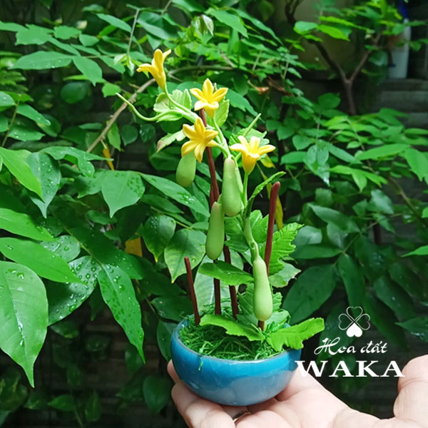 Hoa Đất Sét Mini- Giàn Bầu