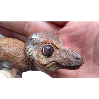 Mô hình PNSO Khủng long Young T-Rex (T-Rex con) có sẵn