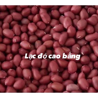 Lạc đỏ/ đậu phộng