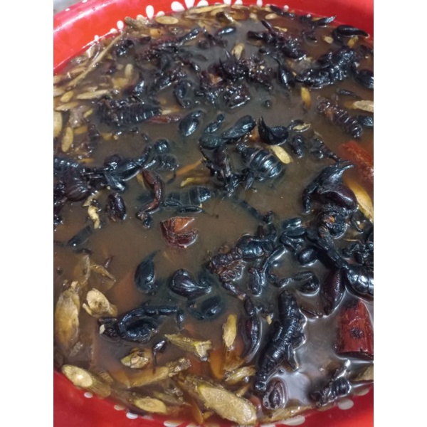 1 chai xoa bóp bọ cạp Sapa