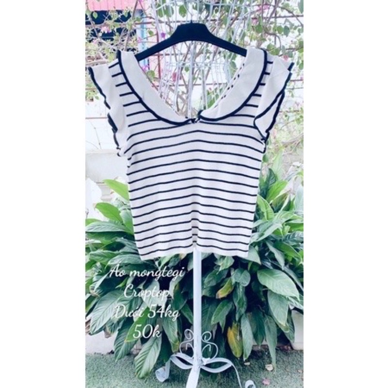 Áo len mongtegi dáng croptop