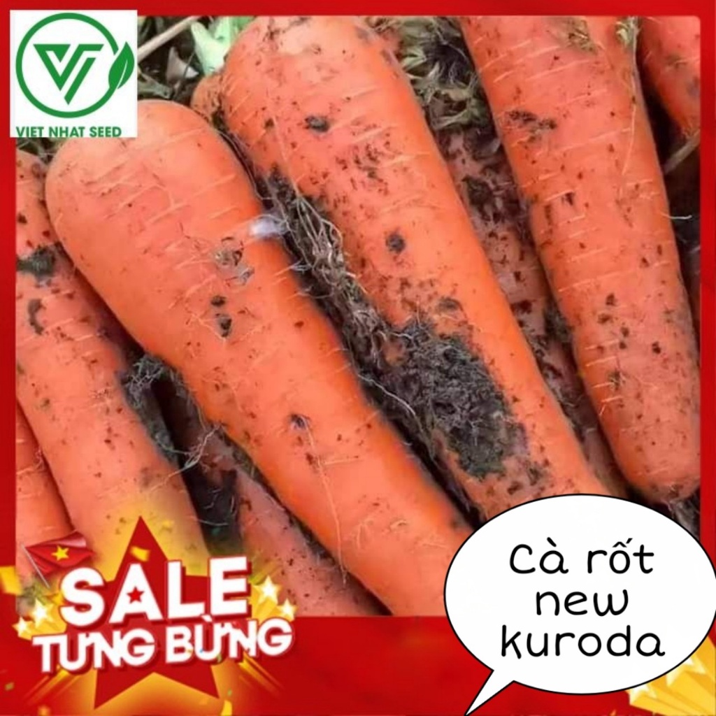 <250 HẠT> CÀ RỐT NEWKURODA