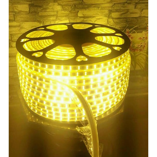 Đèn LED dây 2 hàng 2835 siêu sáng chống nước hắt trần, quấn cây. trang trí