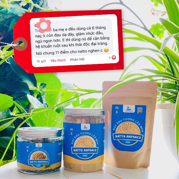 NATTO ĐẬU NÀNH LÊN MEN HỮU CƠ ANPHACO 2 HỘP BỘT