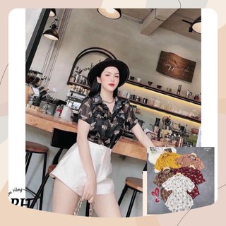 Áo Sơ Mi Ong Ngắn Tay Chất Lụa Tơ Siêu Hot ( Kèm Video )