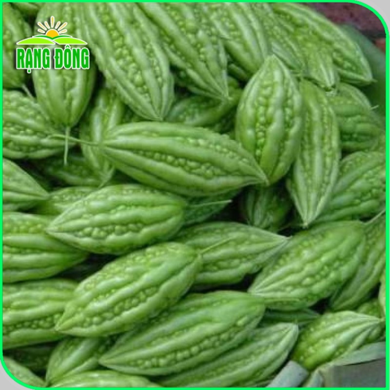 Hạt giống Mướp ngọt - Mướp đắng (khổ qua) trồng quanh năm, Hạt giống rau củ quả trồng chậu - Hạt giống Rạng Đông