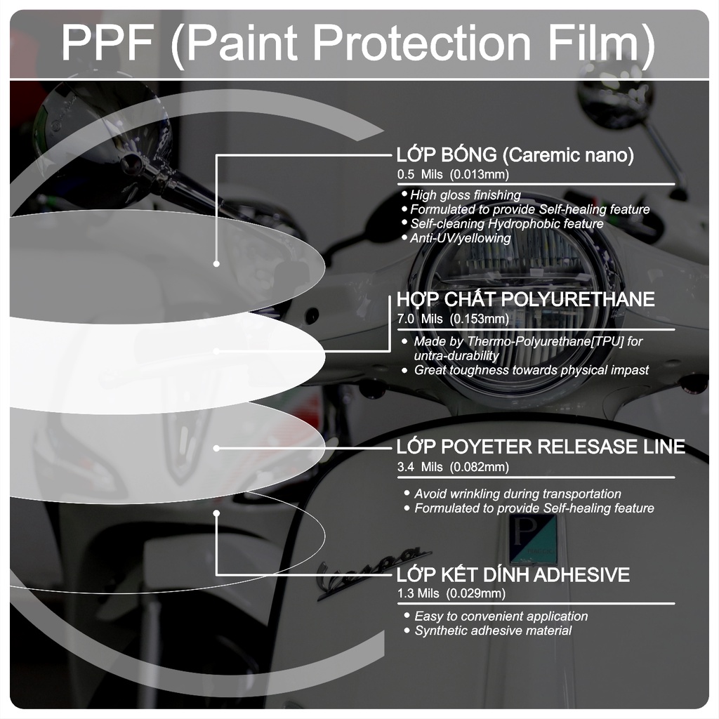 PPF Vespa PRIMAVERA Miếng dán bảo vệ CHÓA ĐÈN xe VESPA PRIMAVERA