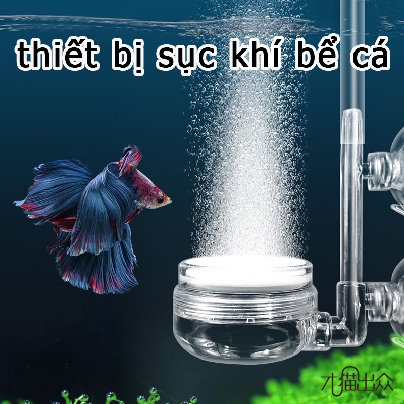 Máy Bơm Oxy Trong Suốt Cho Bể Cá máy bơm oxy cho bể cá máy oxi bể cá