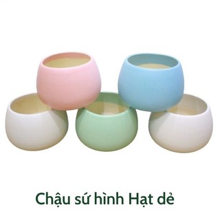 Chậu sứ hình Hạt dẻ trồng sen đá, xương rồng - Lọ Mọ Garden