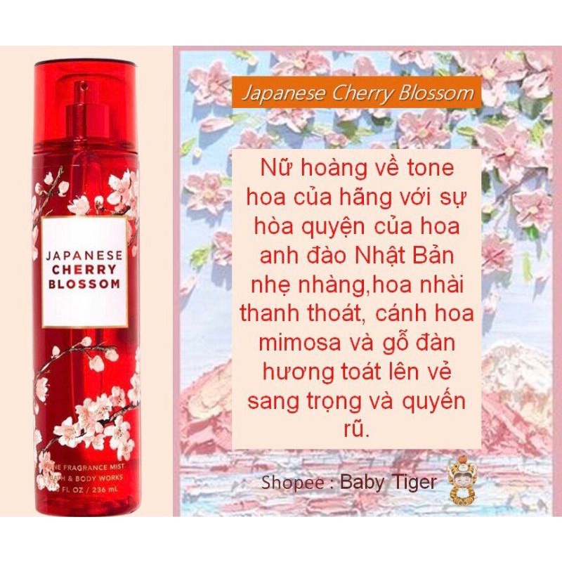 Xịt thơm body Bath & Body Works Japanese Cherry Blossom 236ml