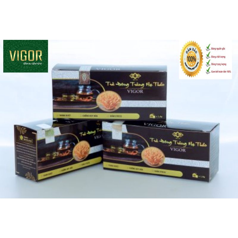 [chính hãng ] Trà túi lọc đông trùng vigor, 20 gói trà đông trùng vigor