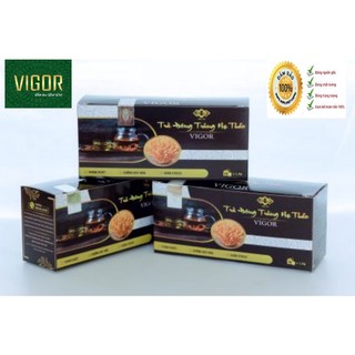 [chính hãng ] Trà túi lọc đông trùng vigor, 20 gói trà đông trùng vigor