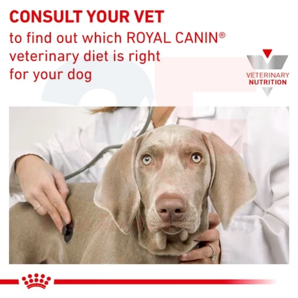 Hạt Hỗ Trợ Hệ Tiêu Hóa Cho Chó Royal Canin Gastrointestinal - Bao 2Kg