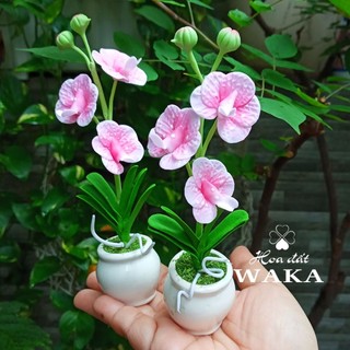 Hoa Đất Sét Mini- Lan Vanda 12cm